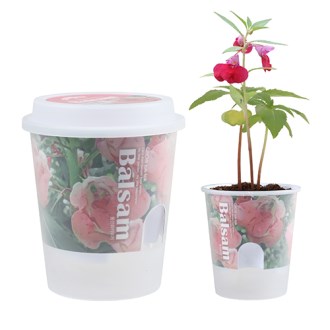 �׷ο����� ���� ���� �̴� ȭ��- ����ȭ