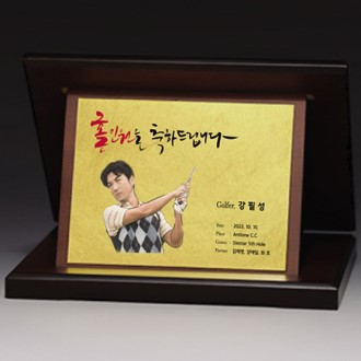 ������ ���� ���� Ʈ���� S8A022-123