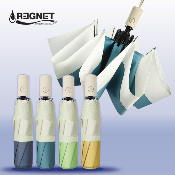 ���ζ� 3�� ���ڵ� ���